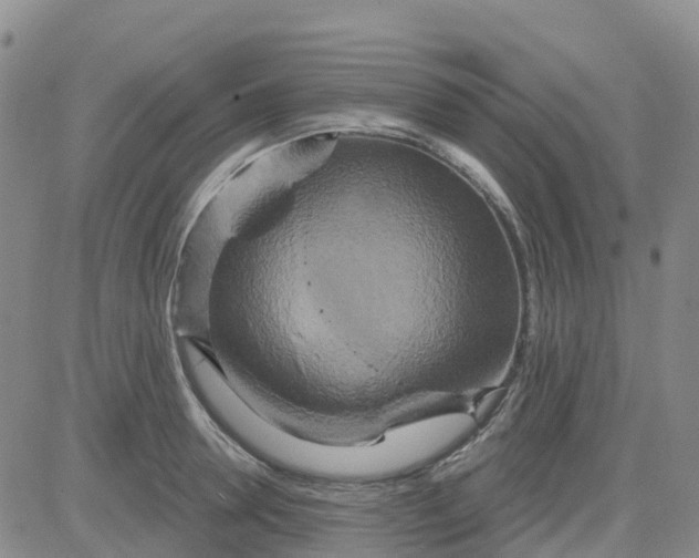 X0000084020946200703022053