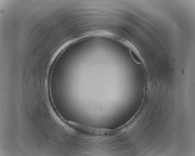 X0000084020947200703022053