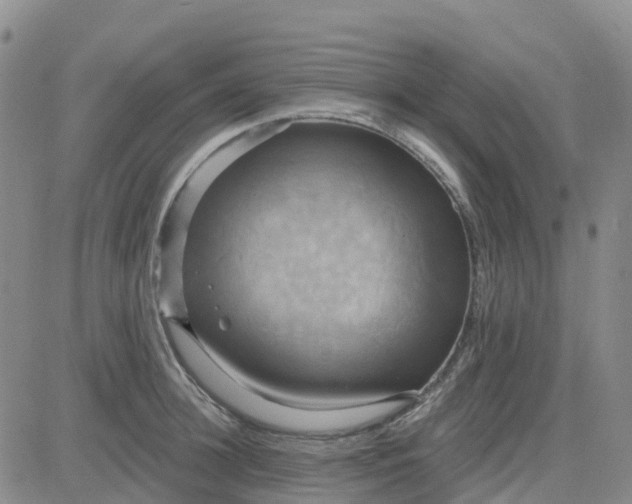 X0000084020948200703022053