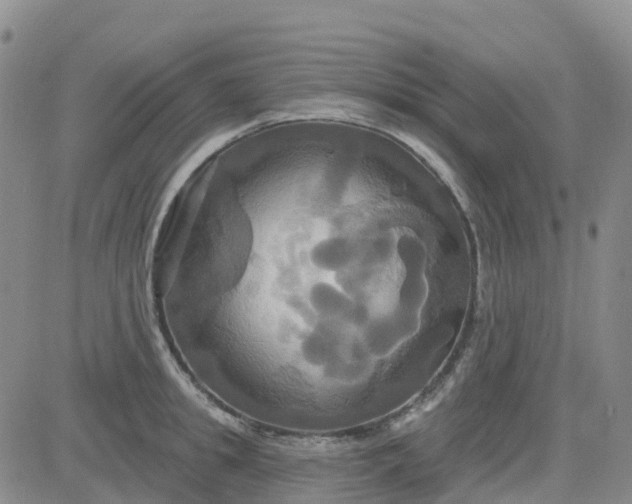 X0000084020949200703022053