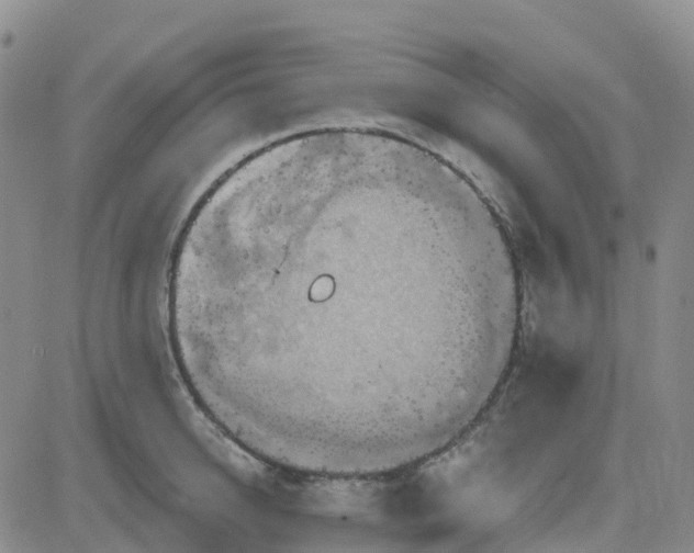 X0000084020950200703022053