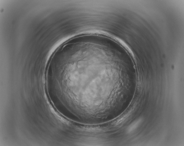 X0000084020951200703022053