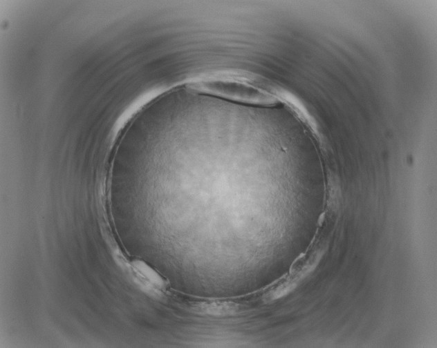 X0000084020952200703022053