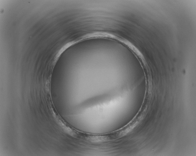 X0000084020953200703022053