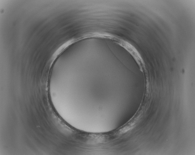 X0000084020954200703022053