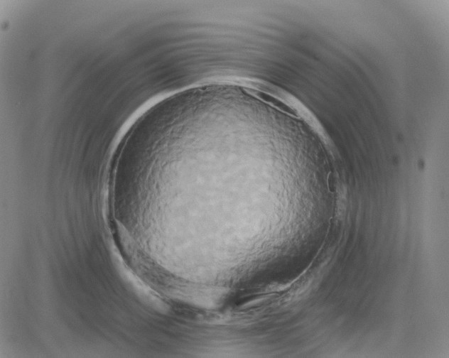 X0000084020955200703022053