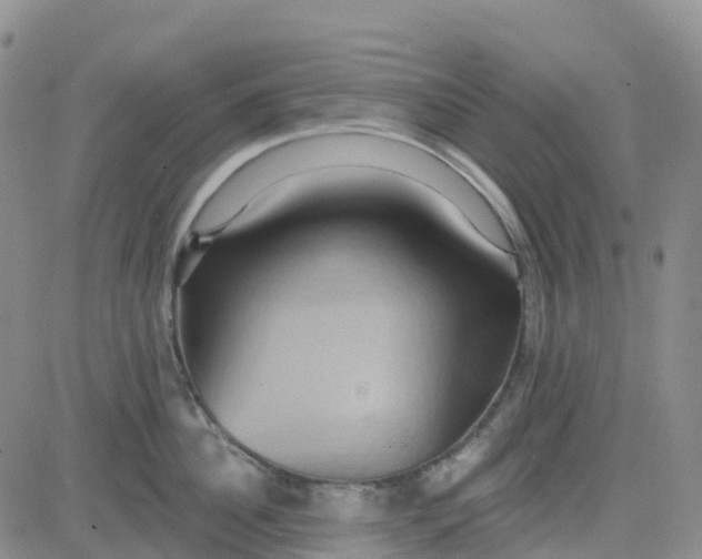 X0000084020956200703022053