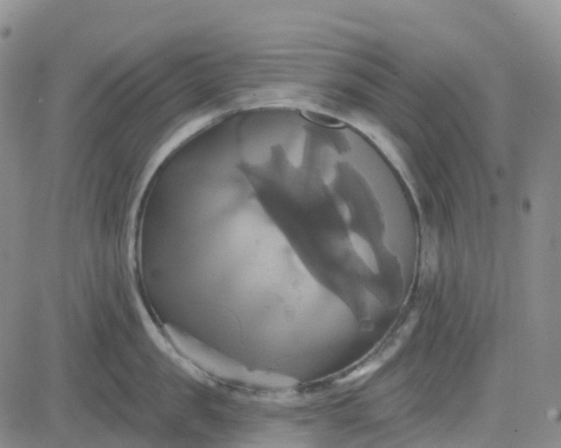 X0000084020957200703022053