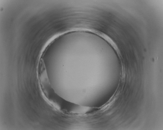 X0000084020958200703022053