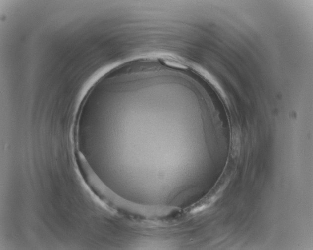 X0000084020959200703022053