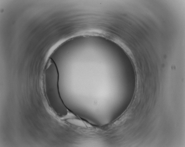 X0000084020960200703022054