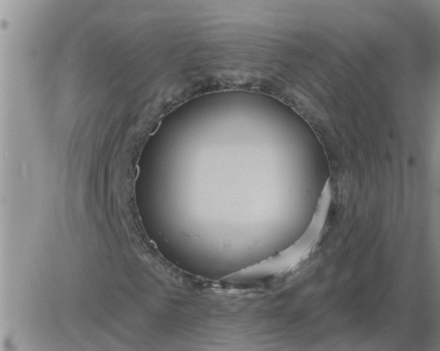 X0000084020961200703022053