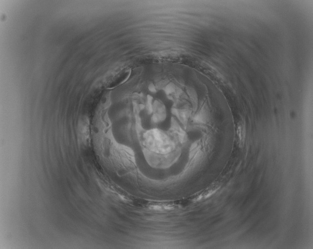 X0000084020963200703022053