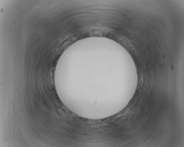 X0000084020964200703022053