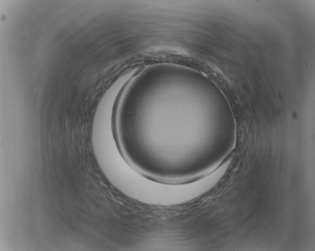 X0000084020965200703022053