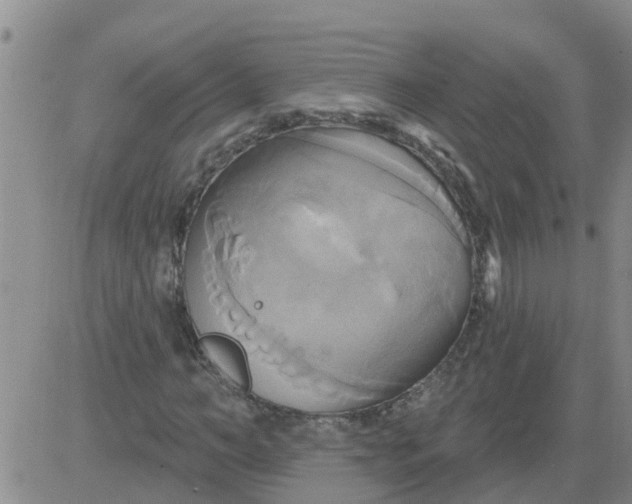 X0000084020966200703022053