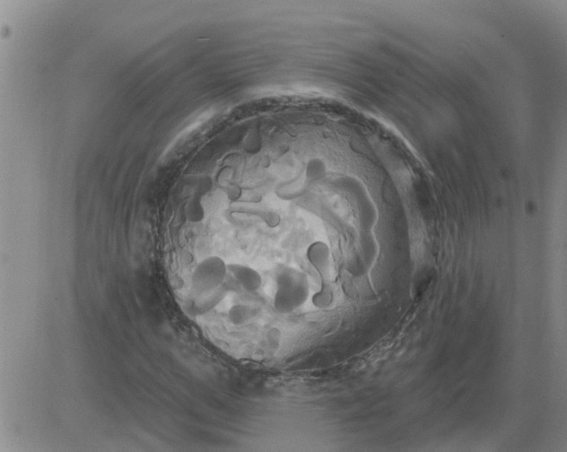 X0000084020967200703022053