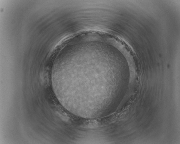 X0000084020968200703022053