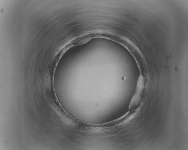 X0000084020969200703022053