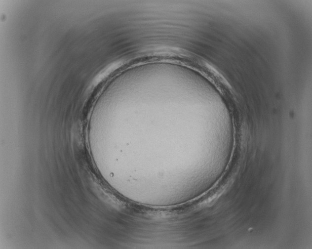 X0000084020970200703022053