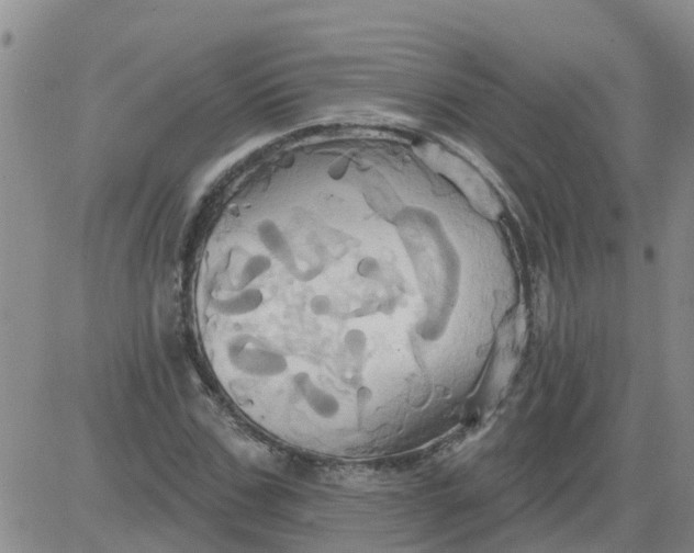 X0000084020971200703022053