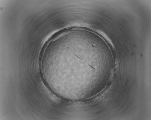 X0000084020972200703022053