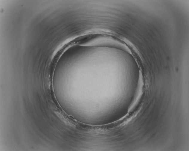 X0000084020973200703022053