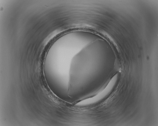 X0000084020975200703022052