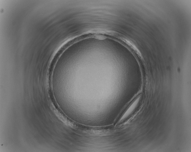 X0000084020976200703022052