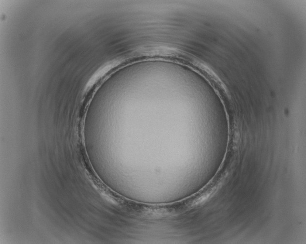 X0000084020978200703022052