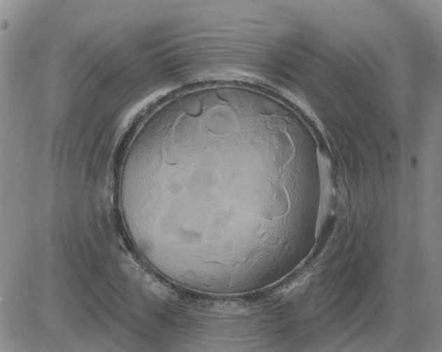 X0000084020979200703022052