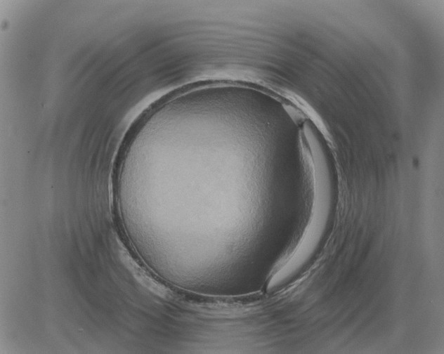 X0000084020980200703022052