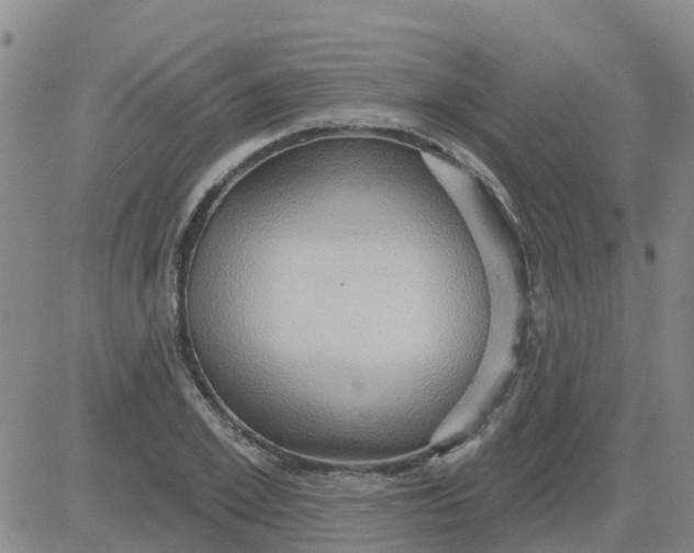 X0000084020981200703022052