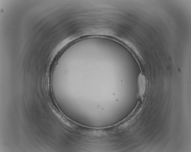 X0000084020982200703022052