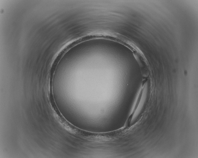 X0000084020984200703022052