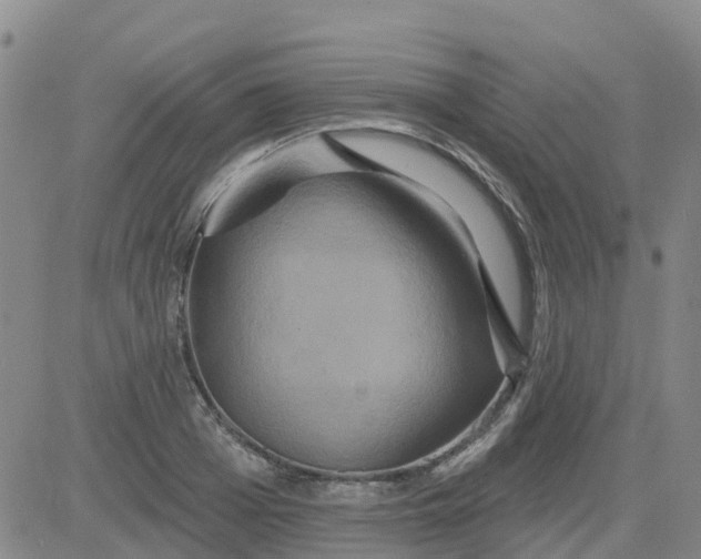 X0000084020985200703022052