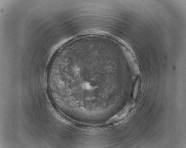 X0000084020987200703022052