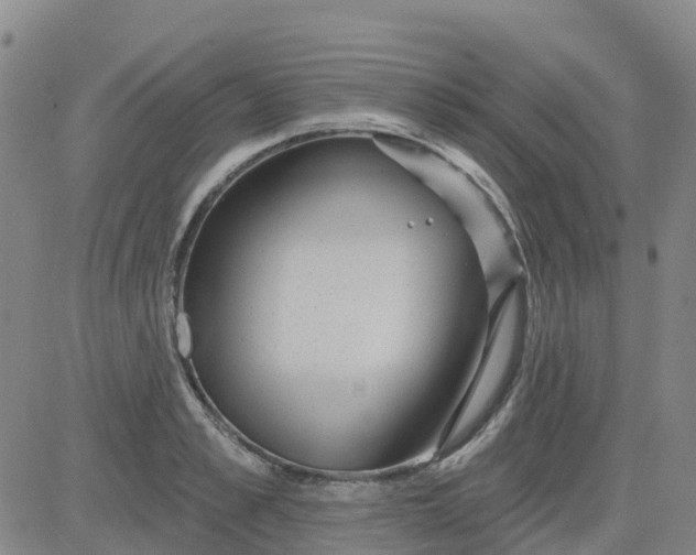 X0000084020989200703022052