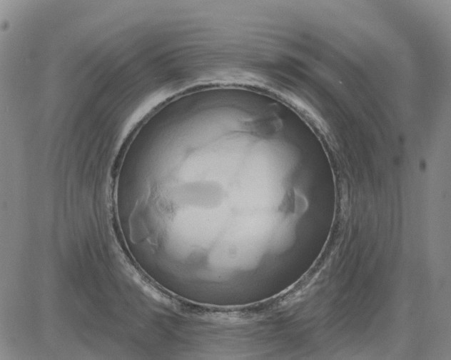 X0000084020990200703022052