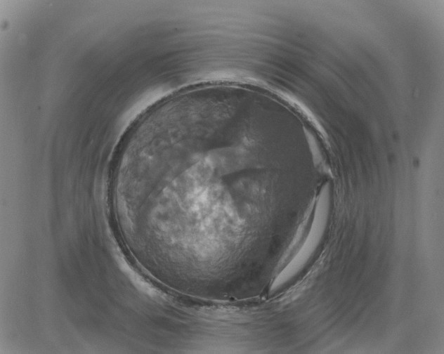 X0000084020991200703022052