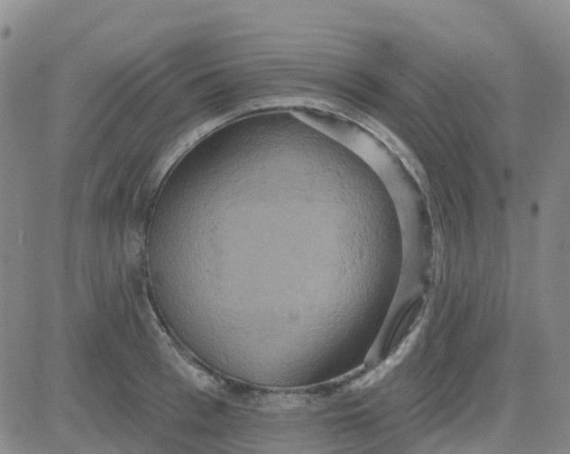 X0000084020993200703022052