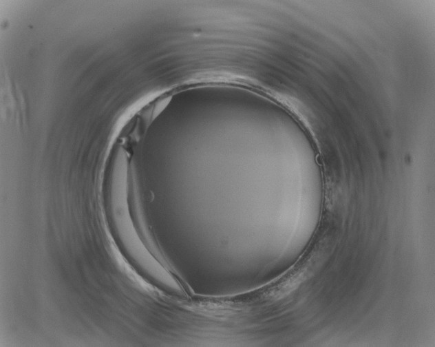 X0000084020995200703022052