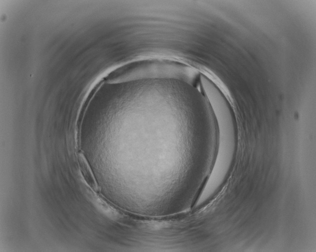 X0000084020996200703022052