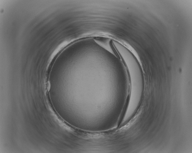 X0000084020997200703022052