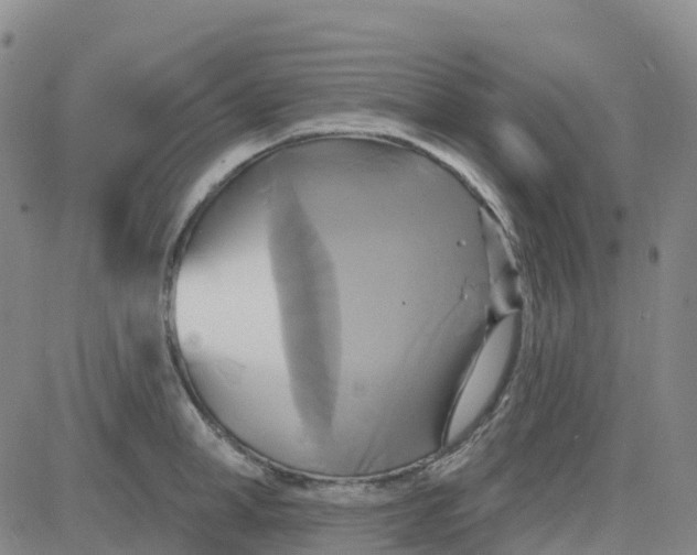 X0000084020998200703022052