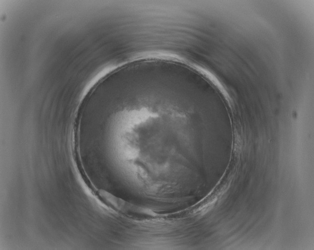 X0000084020999200703022052