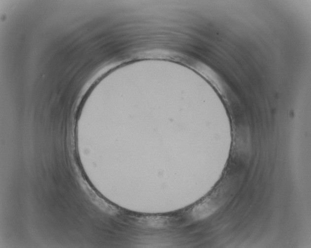 X0000084021000200703022052