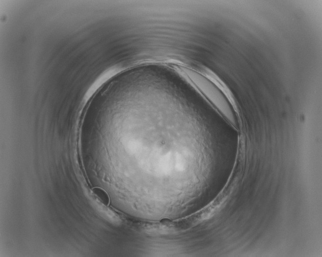 X0000084021002200703022052