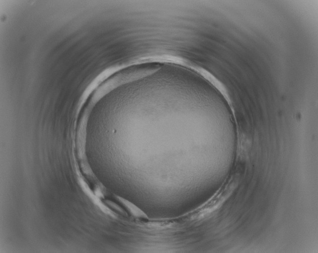 X0000084021005200703022052