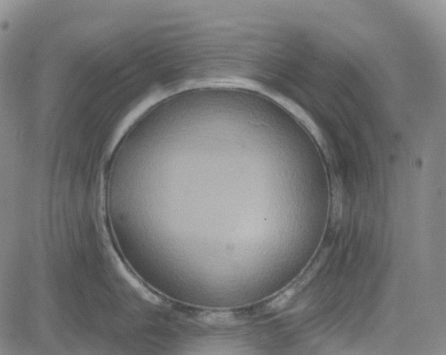 X0000084021006200703022052